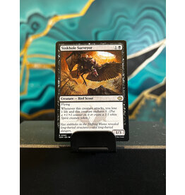 Sinkhole Surveyor  (TDM)