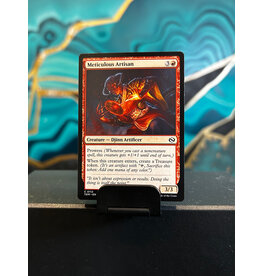 Meticulous Artisan  (TDM)