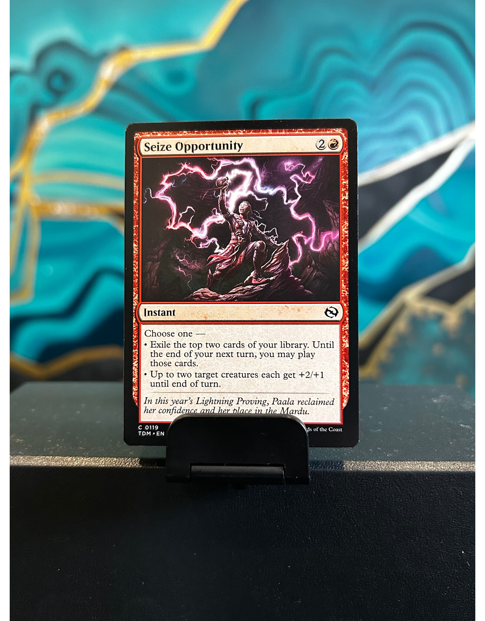 Seize Opportunity  (TDM)