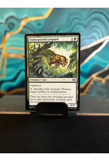 Undergrowth Leopard  (TDM)