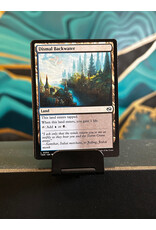 Dismal Backwater  (TDM)