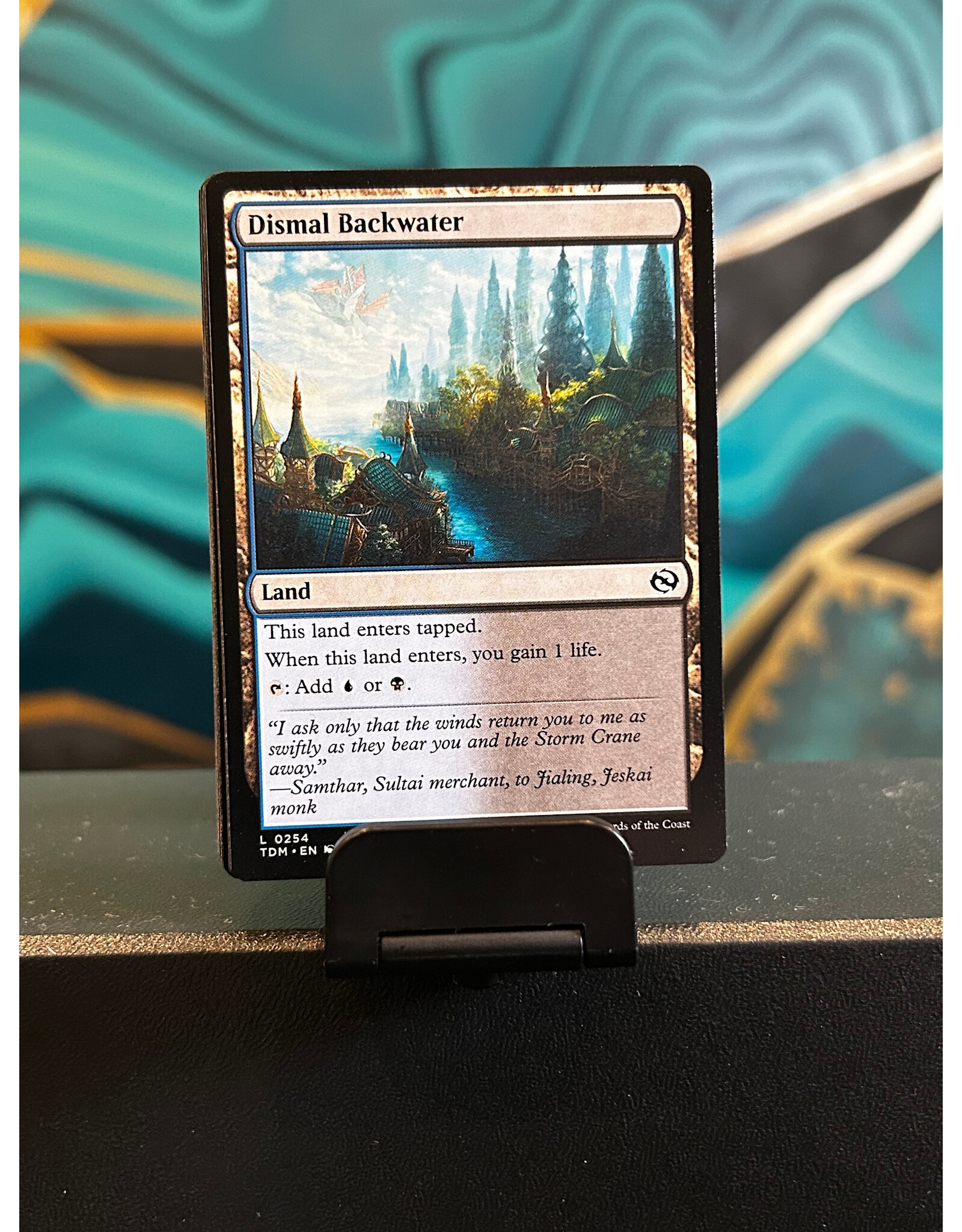 Dismal Backwater  (TDM)