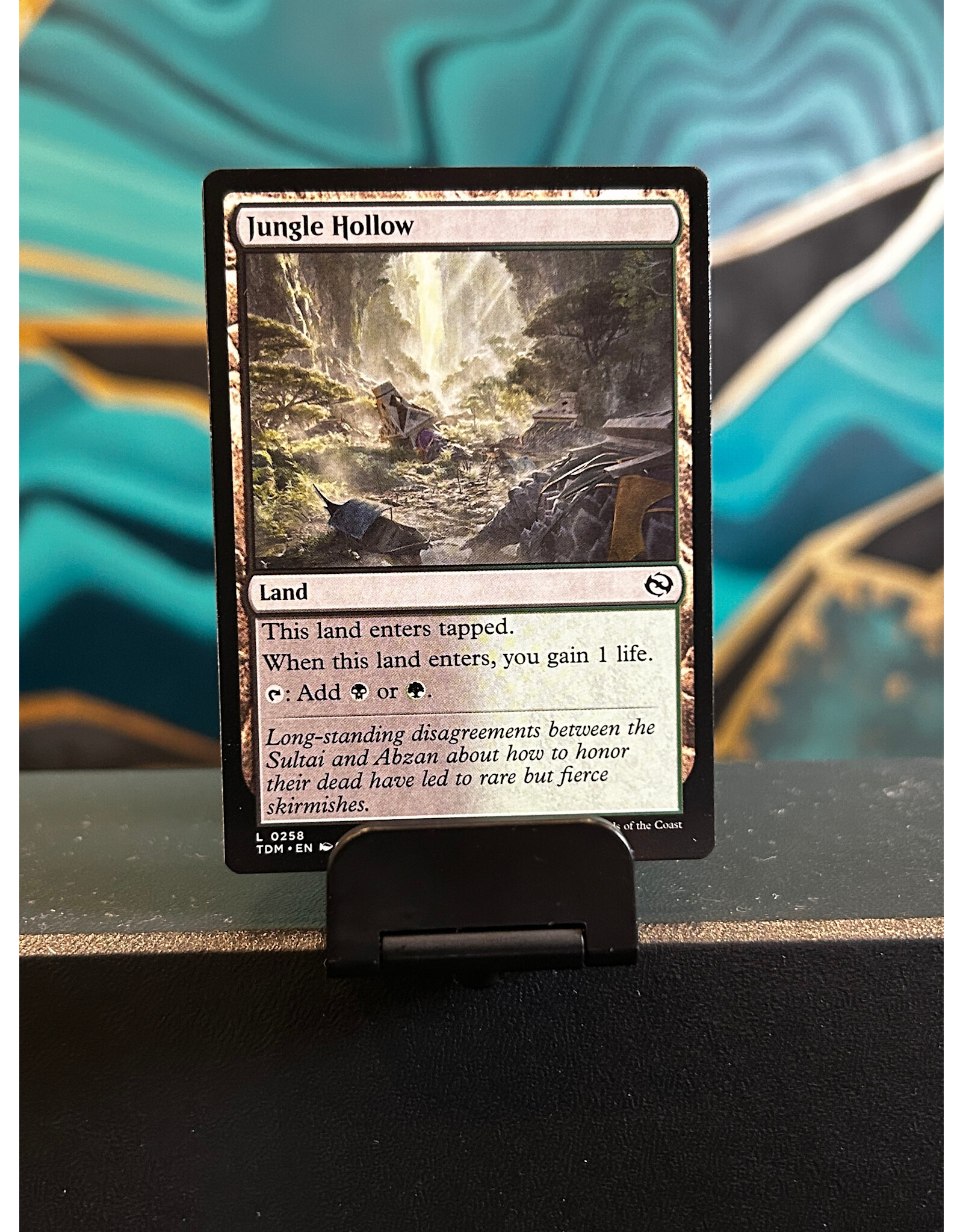 Jungle Hollow  (TDM)