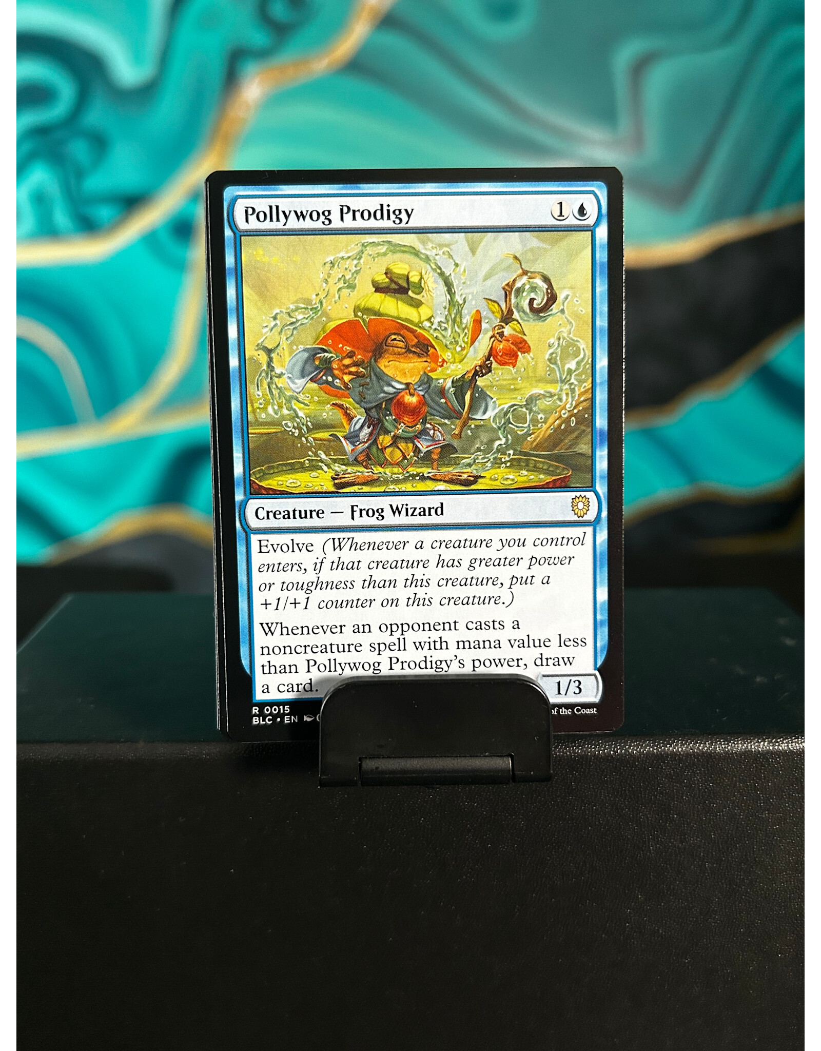 Pollywog Prodigy  (BLC)