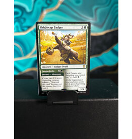 Brightcap Badger // Fungus Frolic  (BLC)