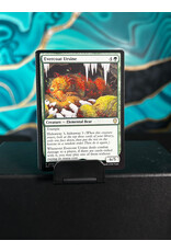 Evercoat Ursine  (BLC)