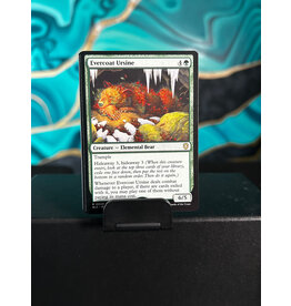 Evercoat Ursine  (BLC)