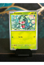 Fomantis  013/182