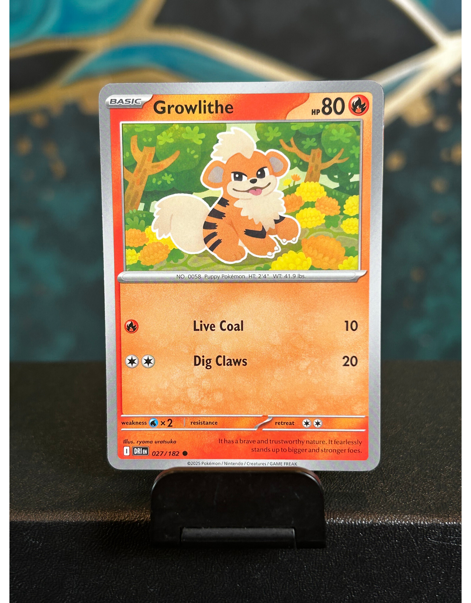 Growlithe  027/182