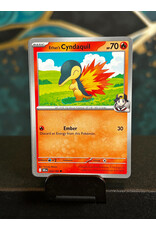 Ethan's Cyndaquil  032/182