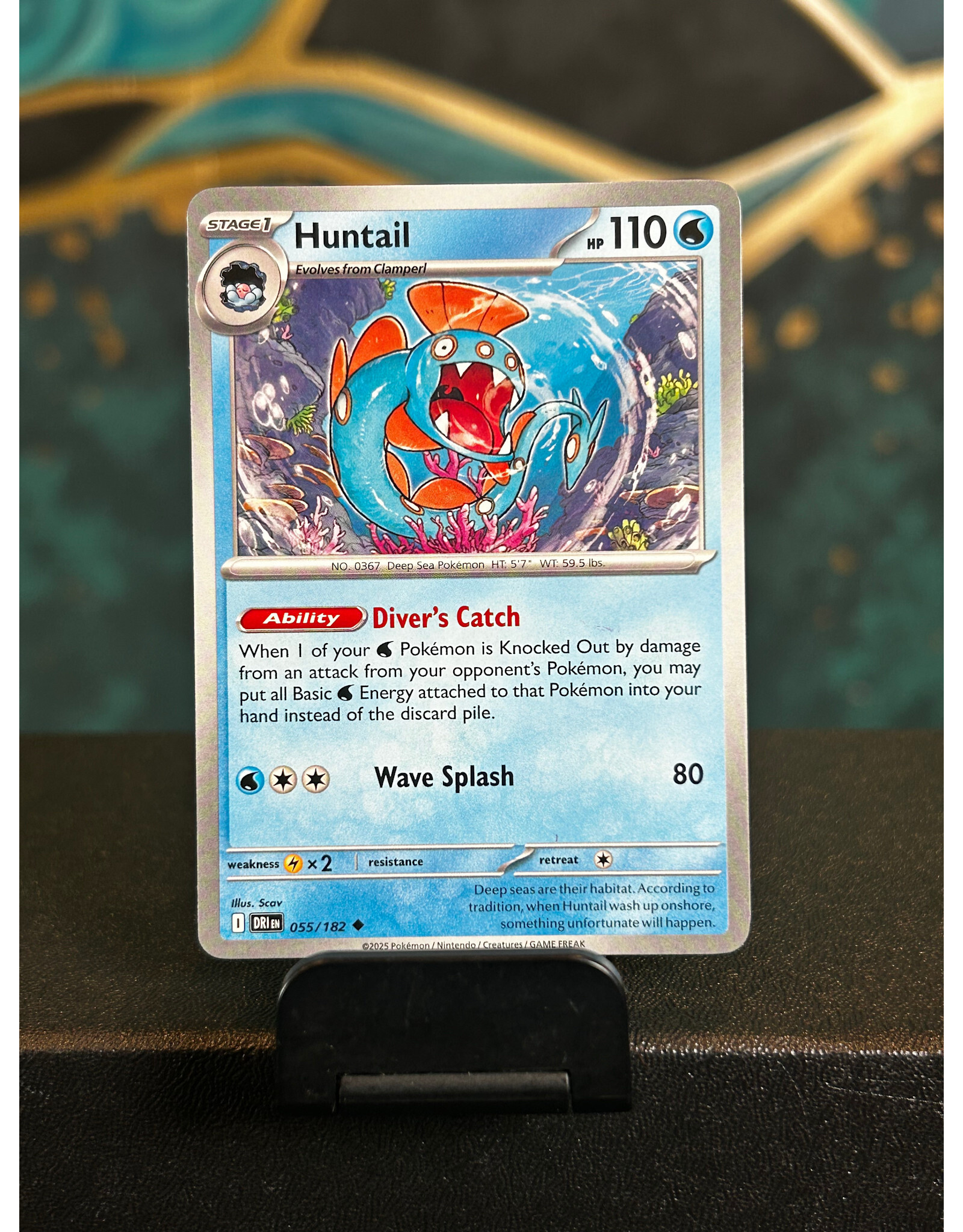 Huntail  055/182