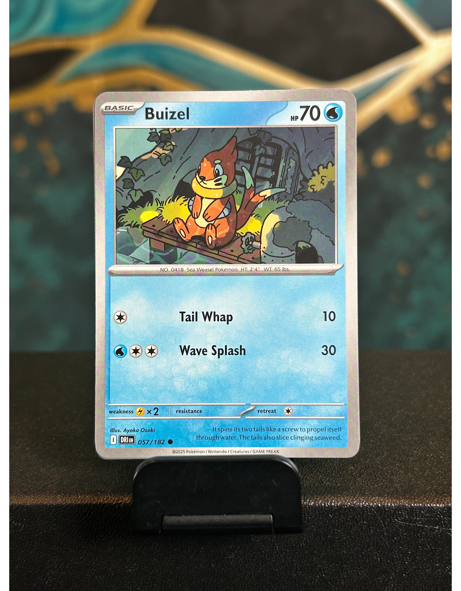 Buizel  057/182