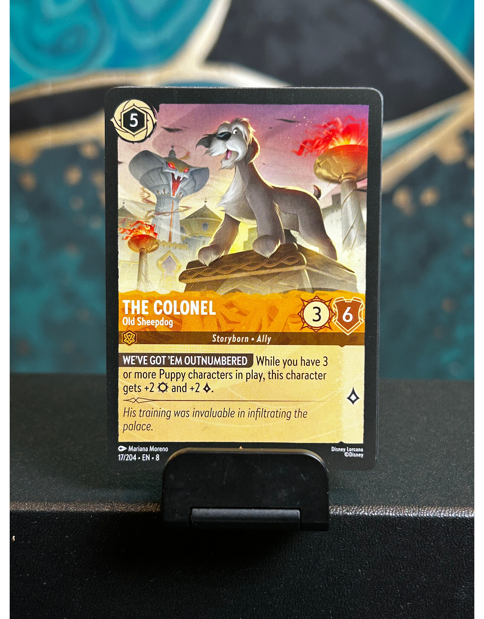 The Colonel - Old Sheepdog  17/204 (ROJ)
