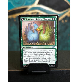 Sidequest: Raise a Chocobo // Black Chocobo  (FIN)