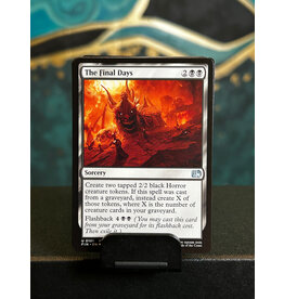 The Final Days  (FIN)