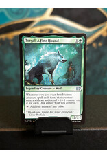 Torgal, A Fine Hound  (FIN)