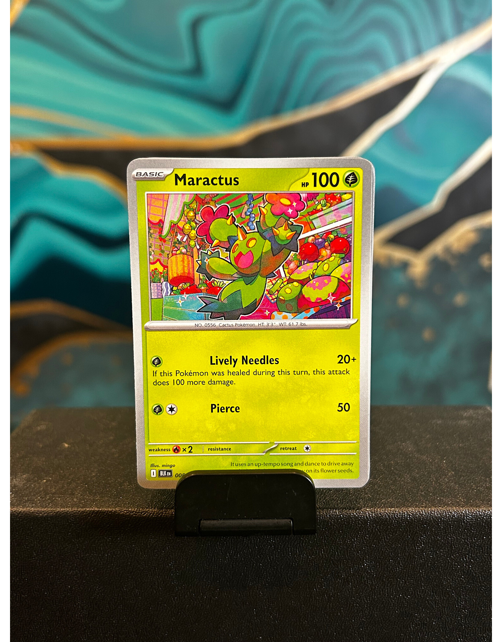 Maractus  008/086