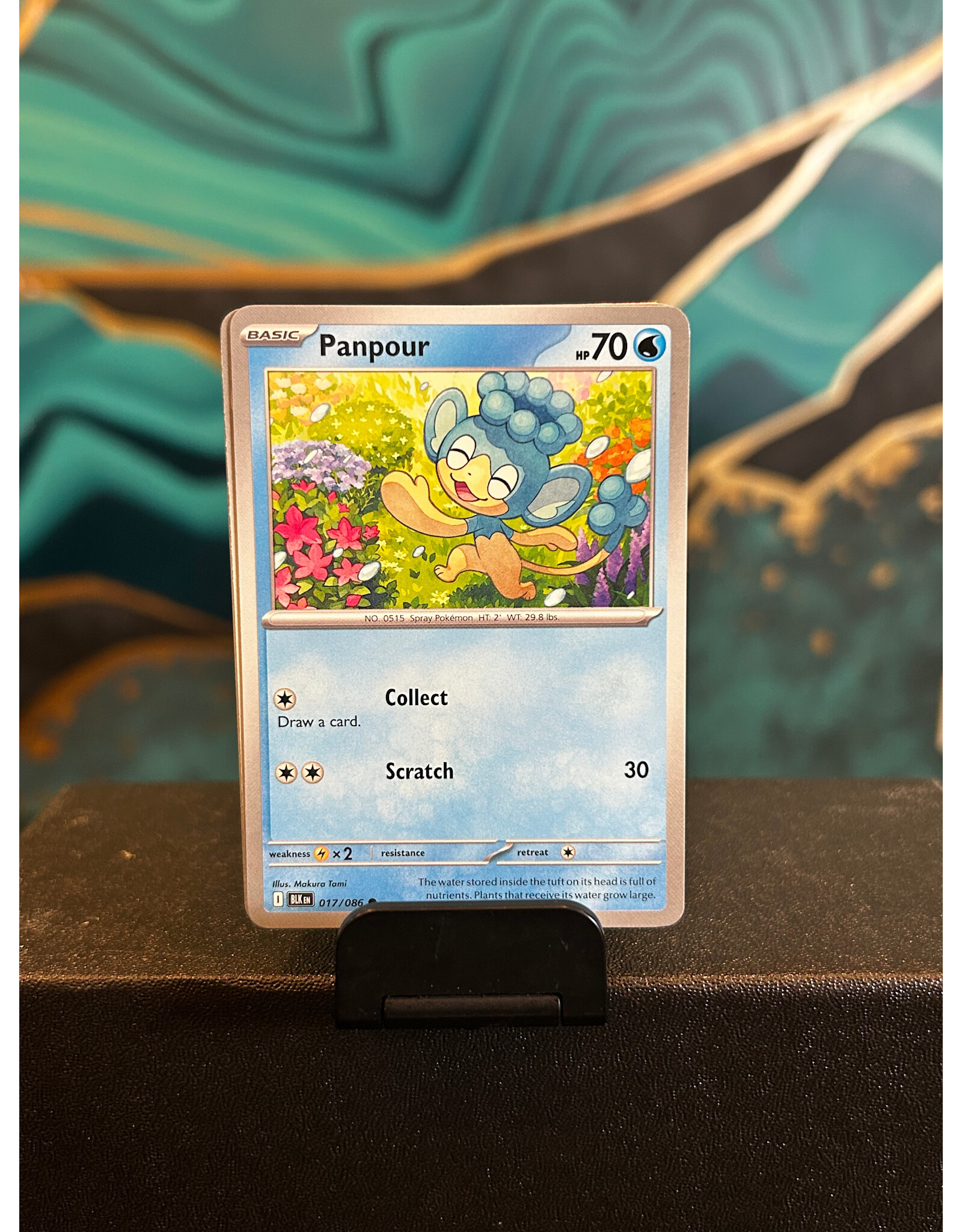 Panpour  017/086