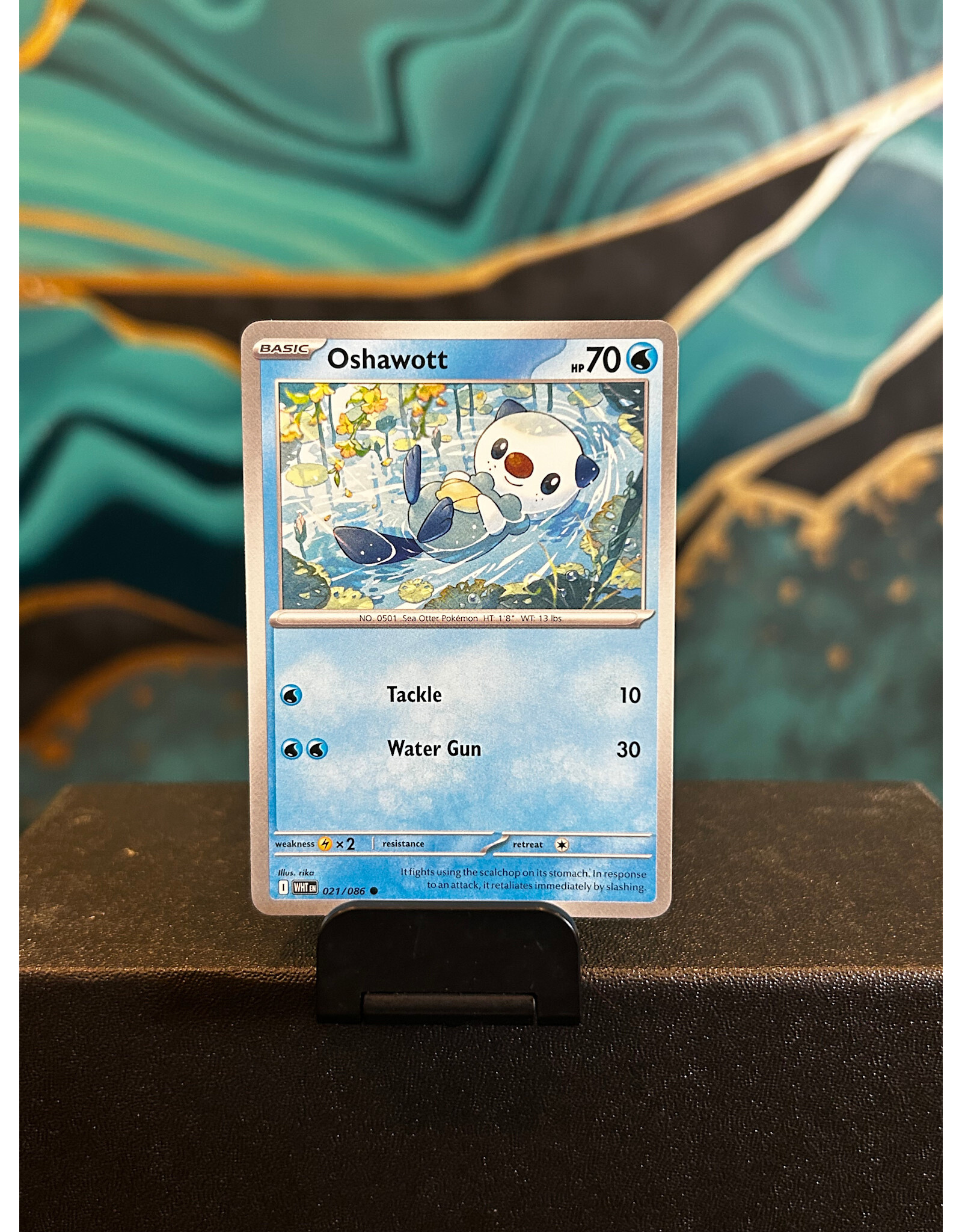 Oshawott  021/086