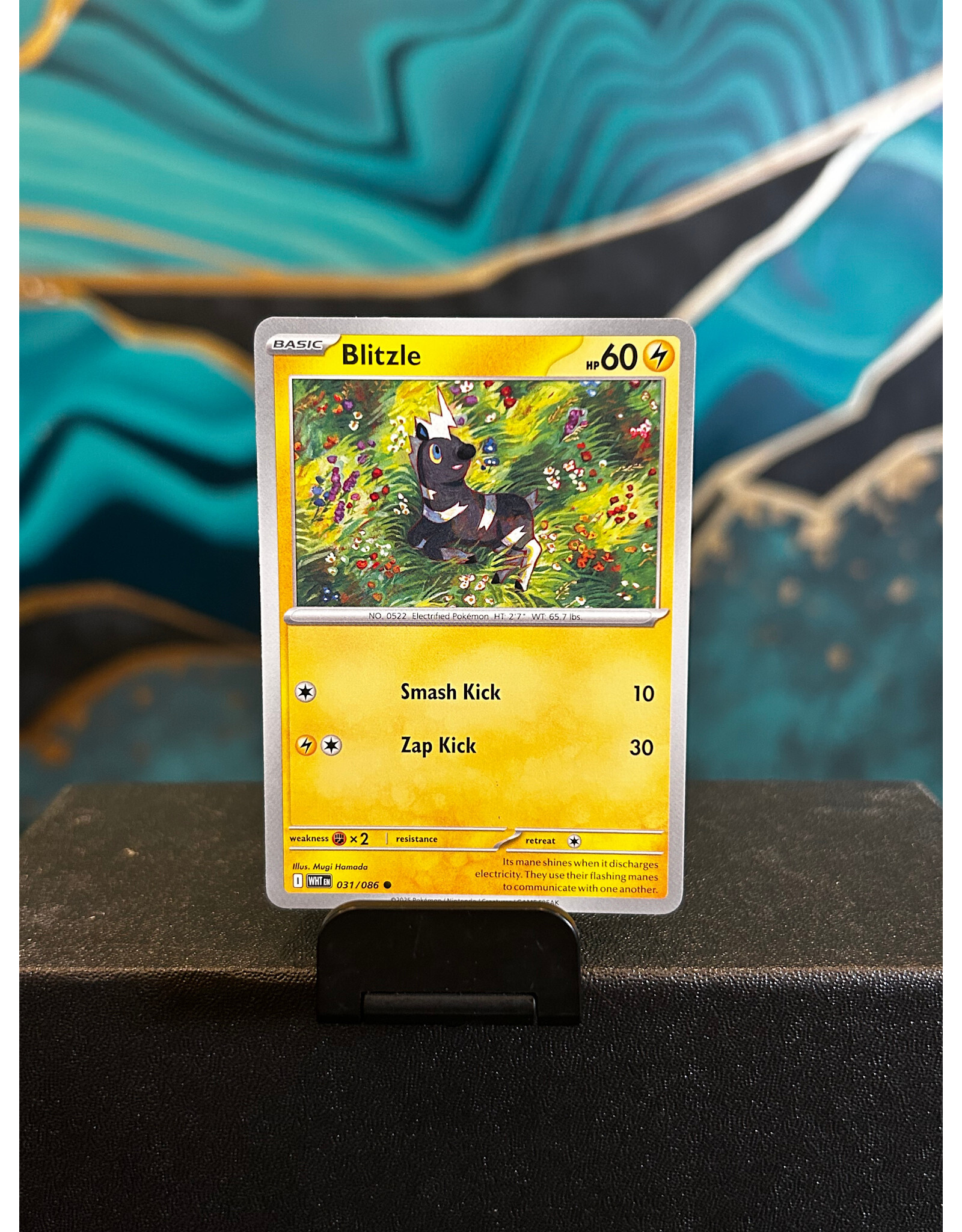 Blitzle  031/086