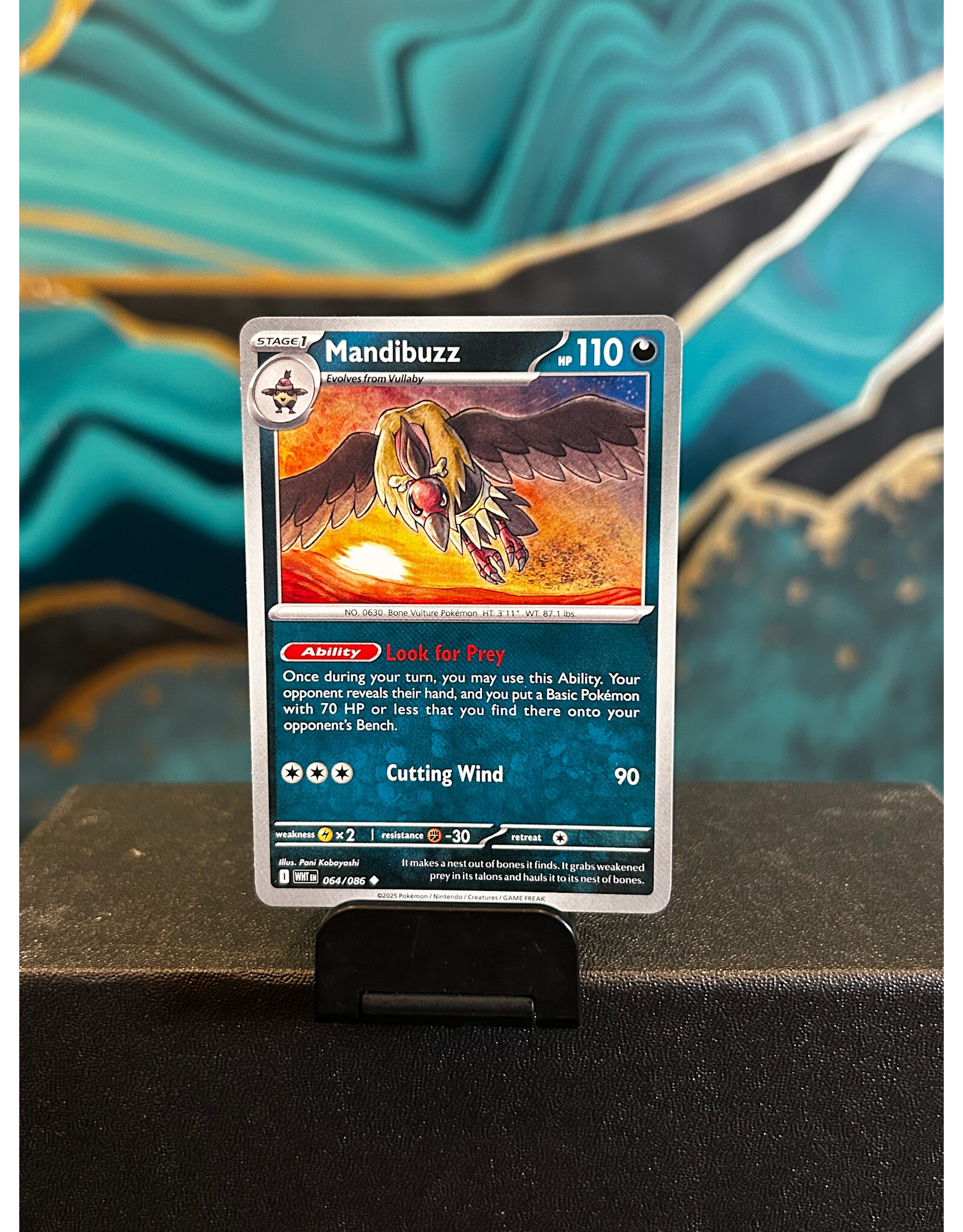 Mandibuzz  064/086