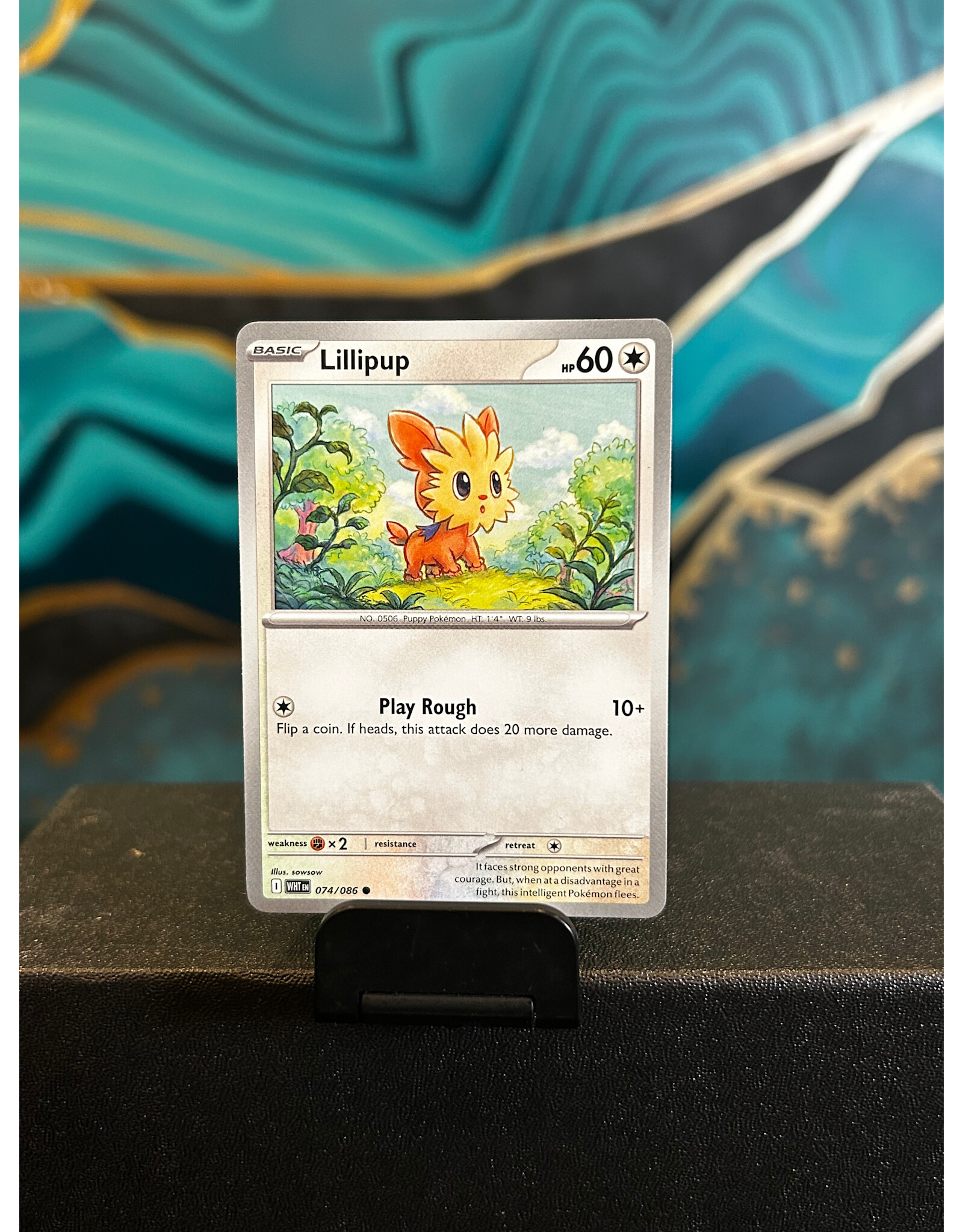 Lillipup  074/086