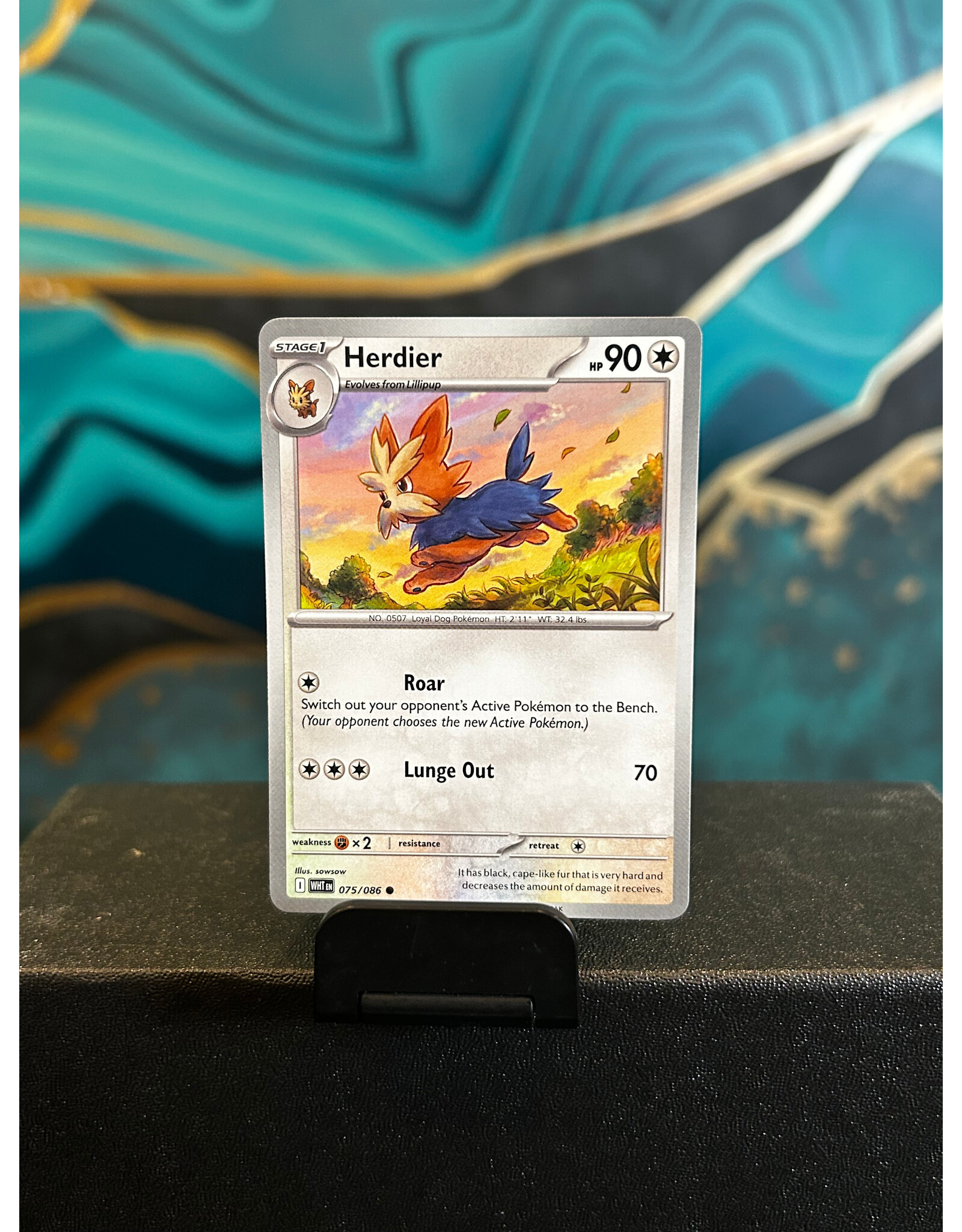 Herdier  075/086