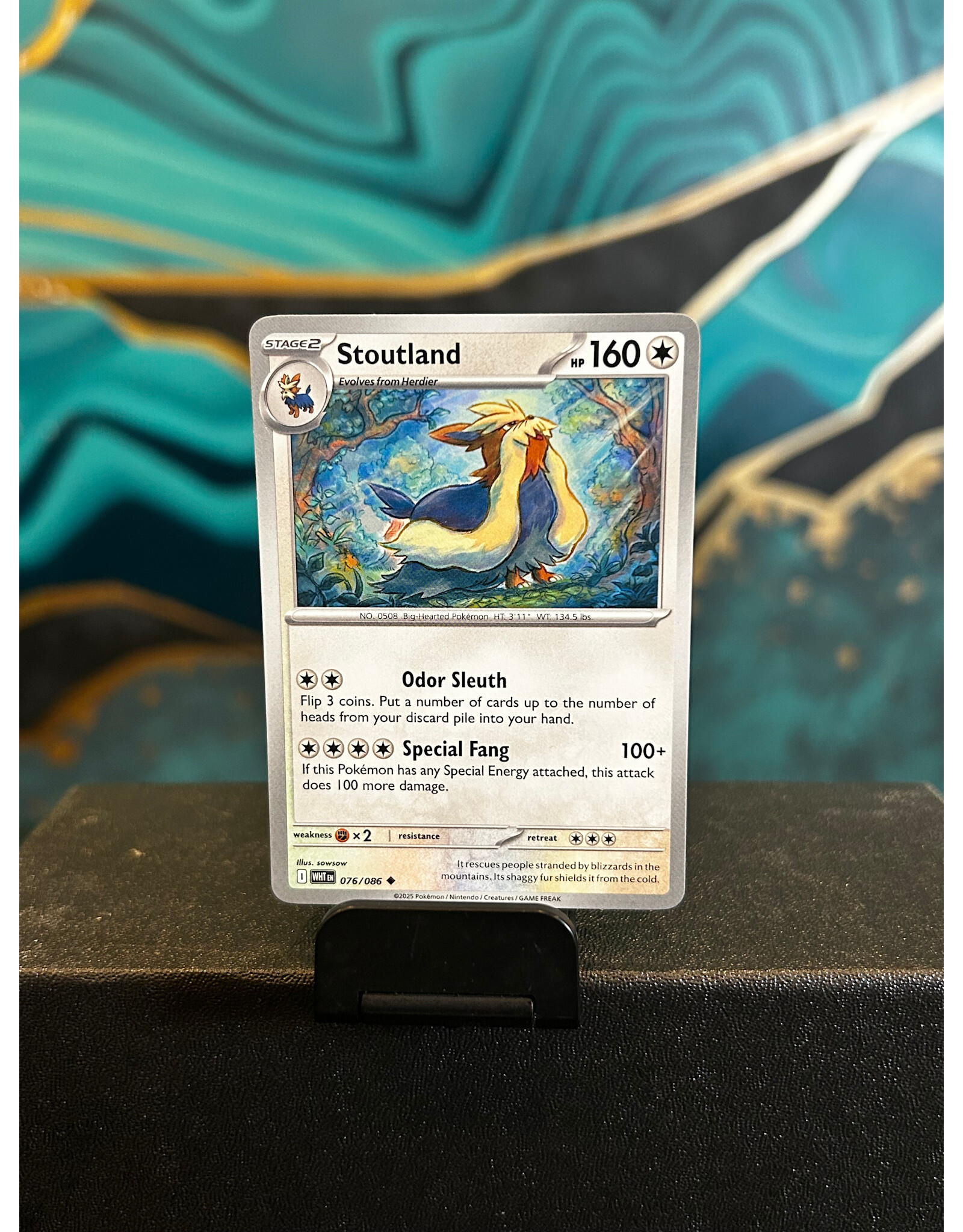 Stoutland  076/086