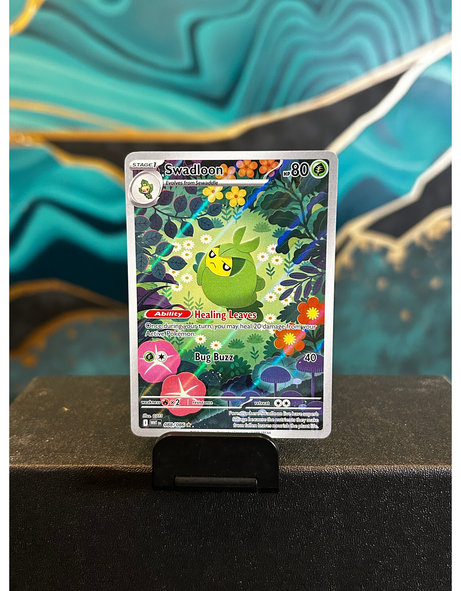 Swadloon  088/086