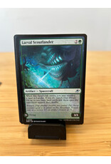 Larval Scoutlander  (EOE)
