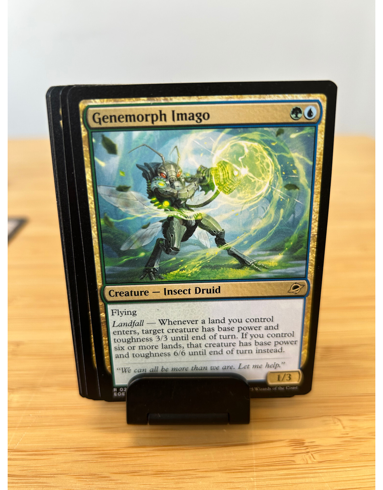 Genemorph Imago  (EOE)