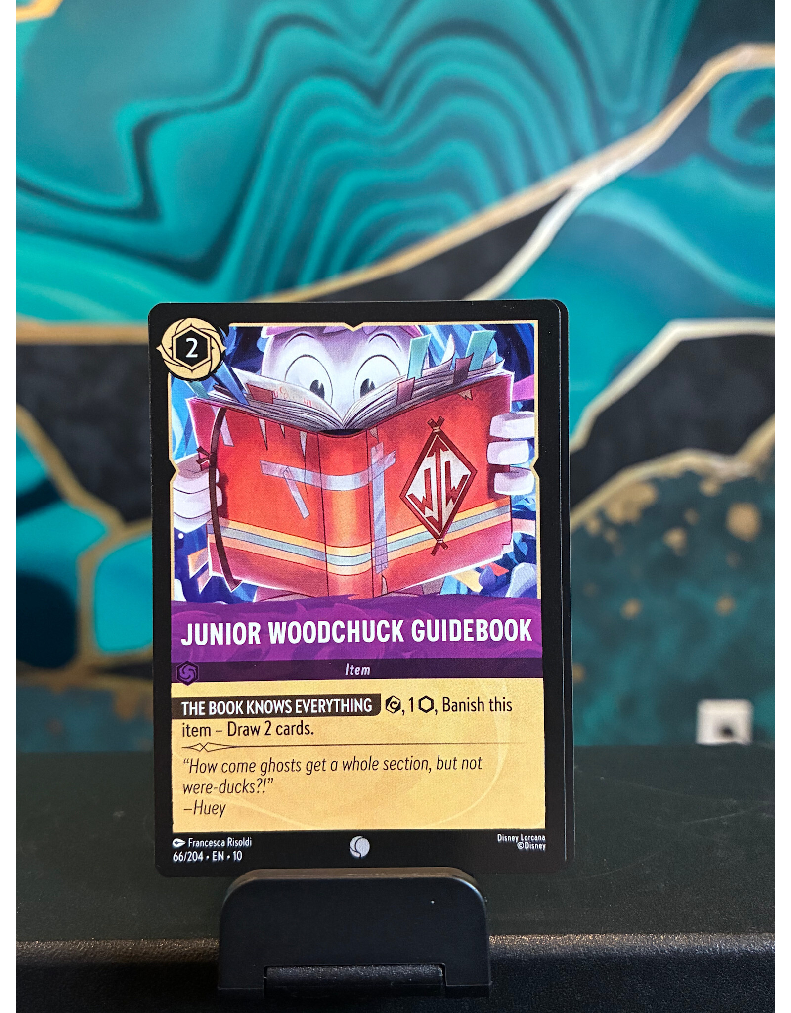 Junior Woodchuck Guidebook  66/204 (WIW)