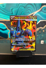 Mega Heracross Ex  108/094