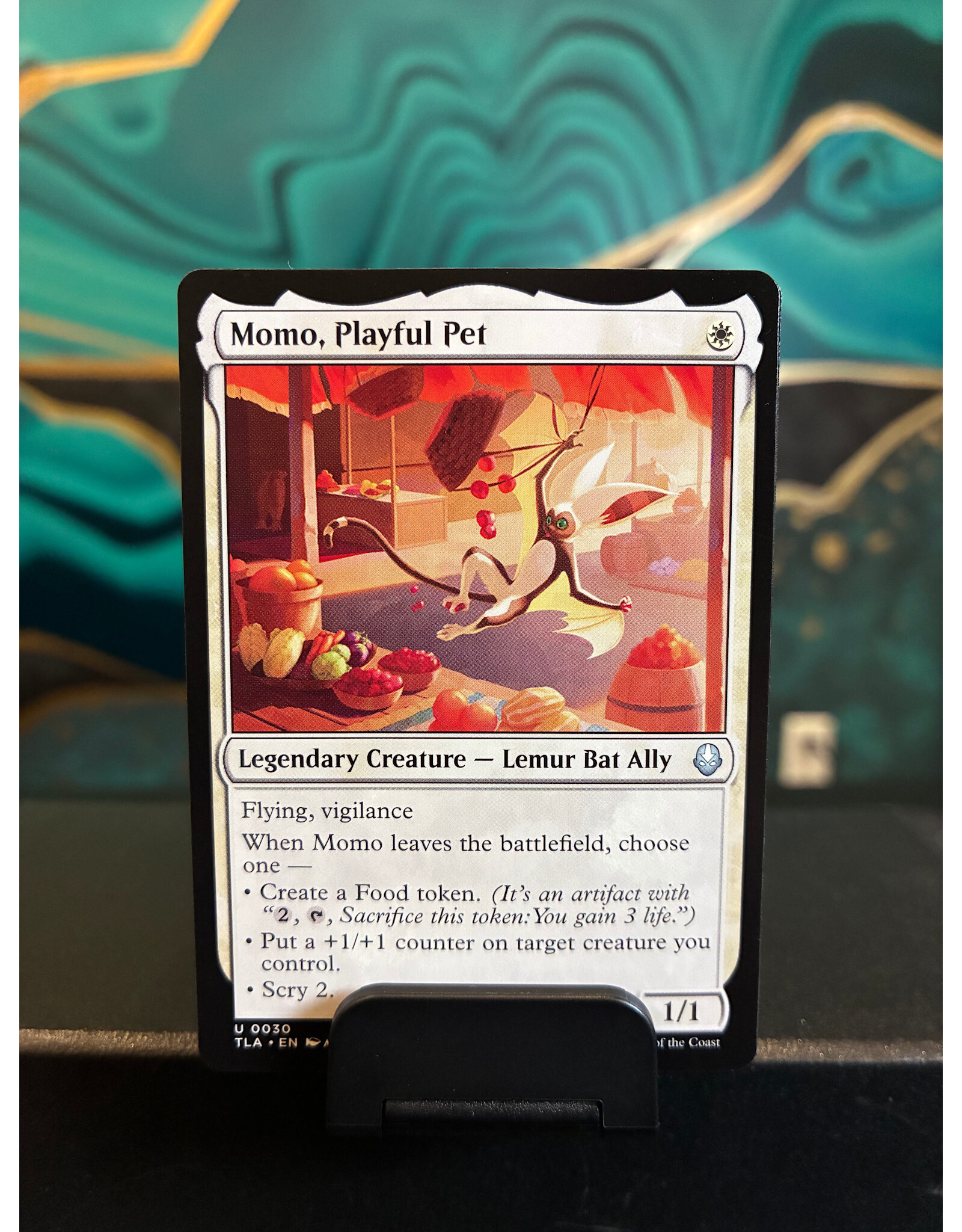 Momo, Playful Pet  (TLA)