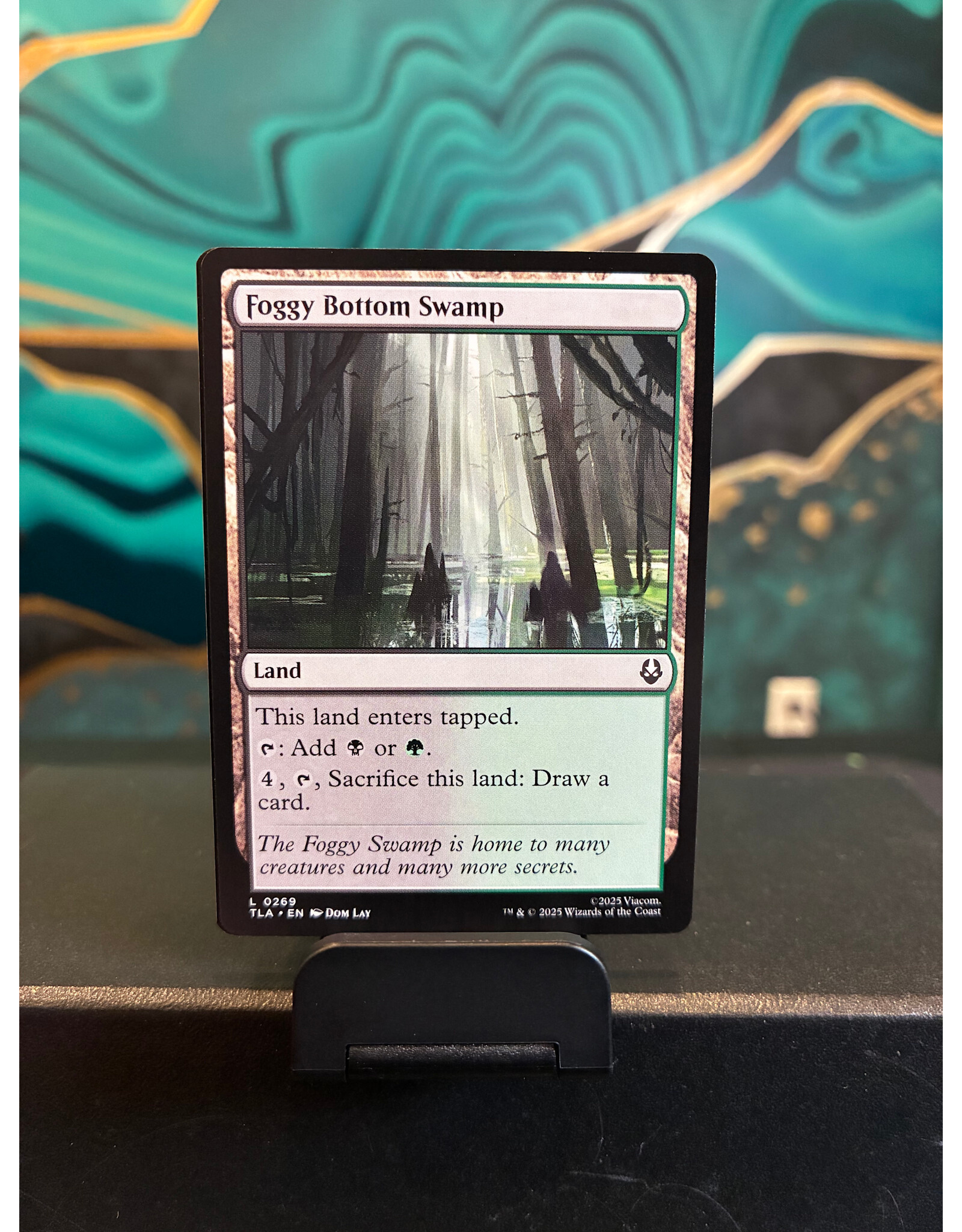 Foggy Bottom Swamp  (TLA)