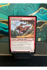 Mongoose Lizard  (TLA)