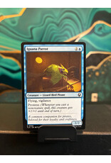 Iguana Parrot  (TLA)