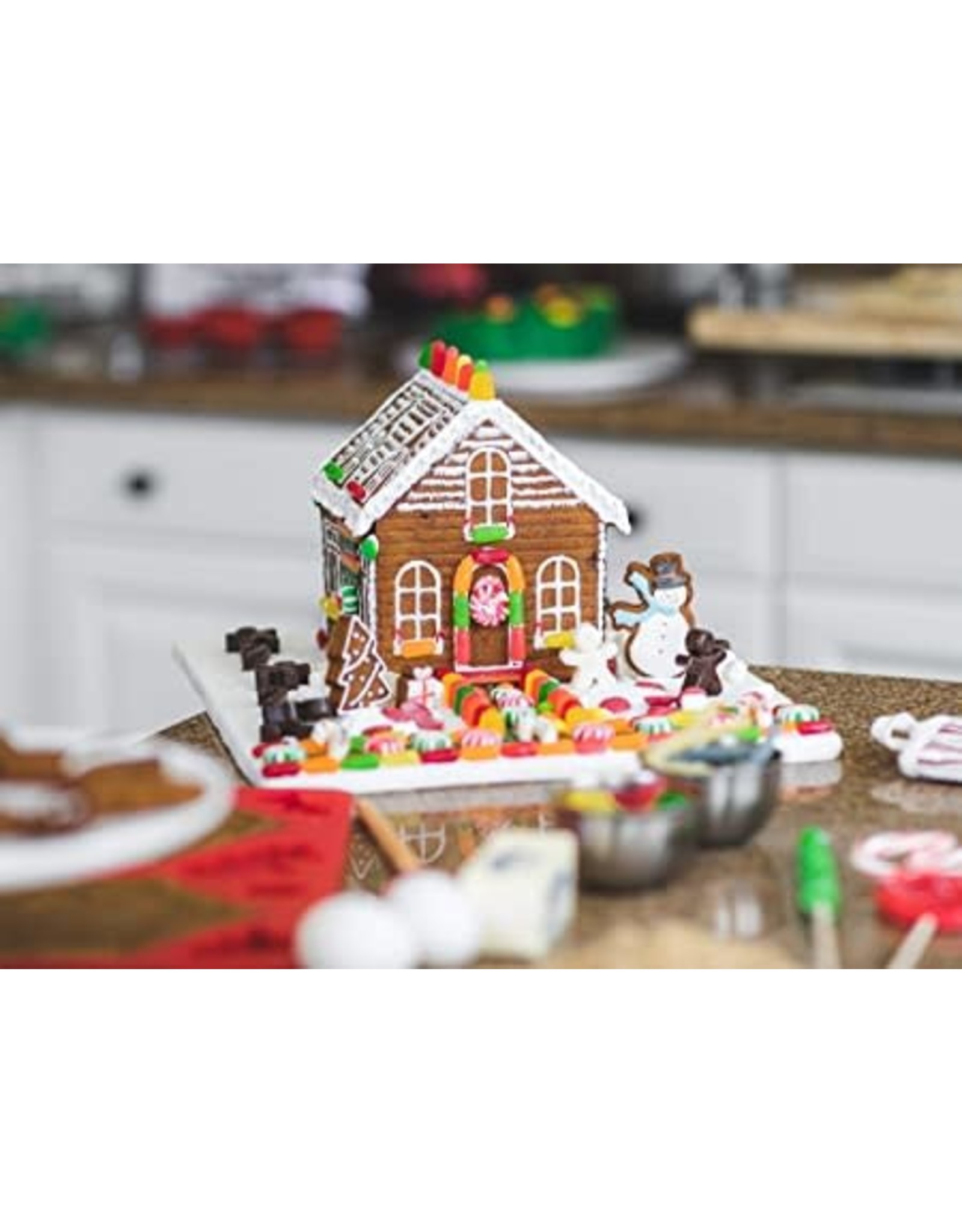 Make Your Own Gingerbread House Set