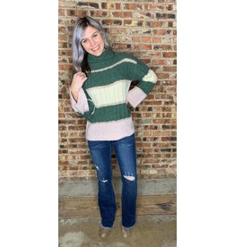 Dani Color Blocked Turtle Neck Sweater