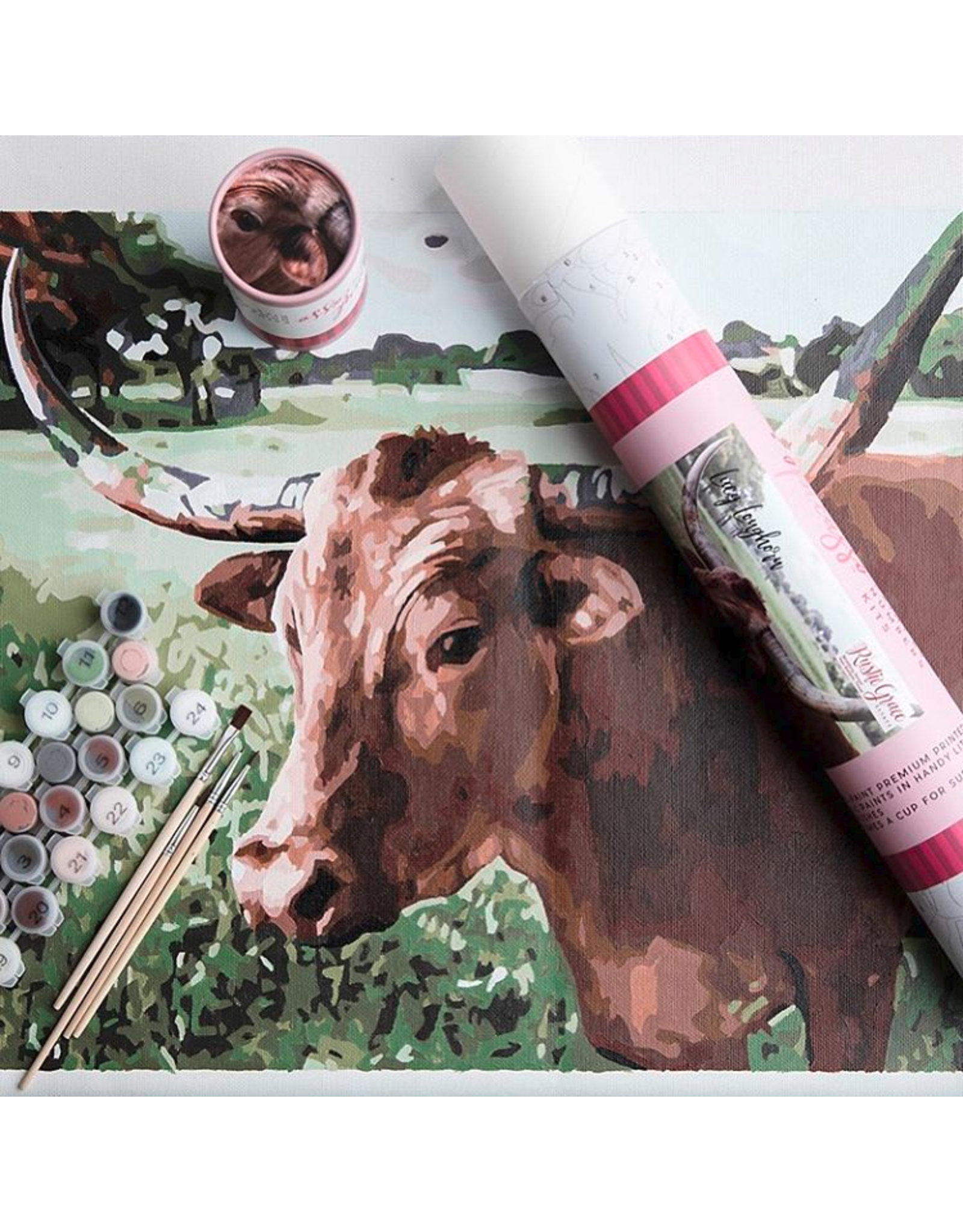 Lucy Longhorn Paint By Numbers