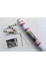 Pink Picasso Kits Sensitive Succulents Pink Picasso Kits Sensitive Succulents