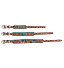 Dog Collar Cactus Hand Painted