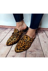 Spunky Mules