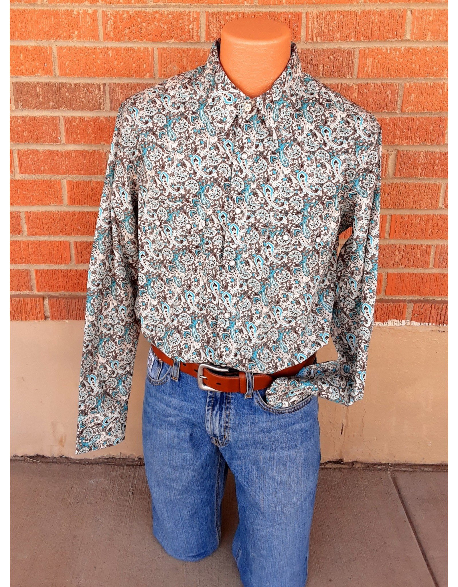 Paisley Print Long Sleeve Button Down