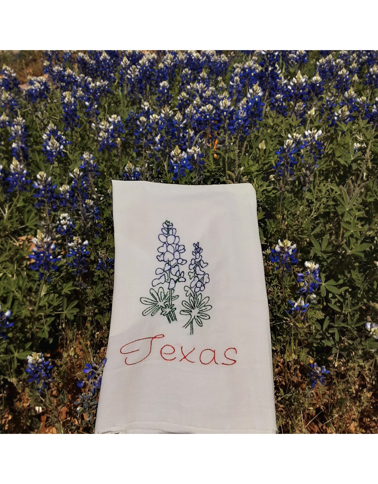Bluebonnets w/Texas
