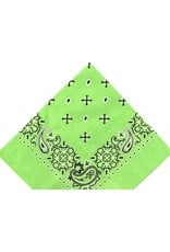 Embroidered Cactus Bandana