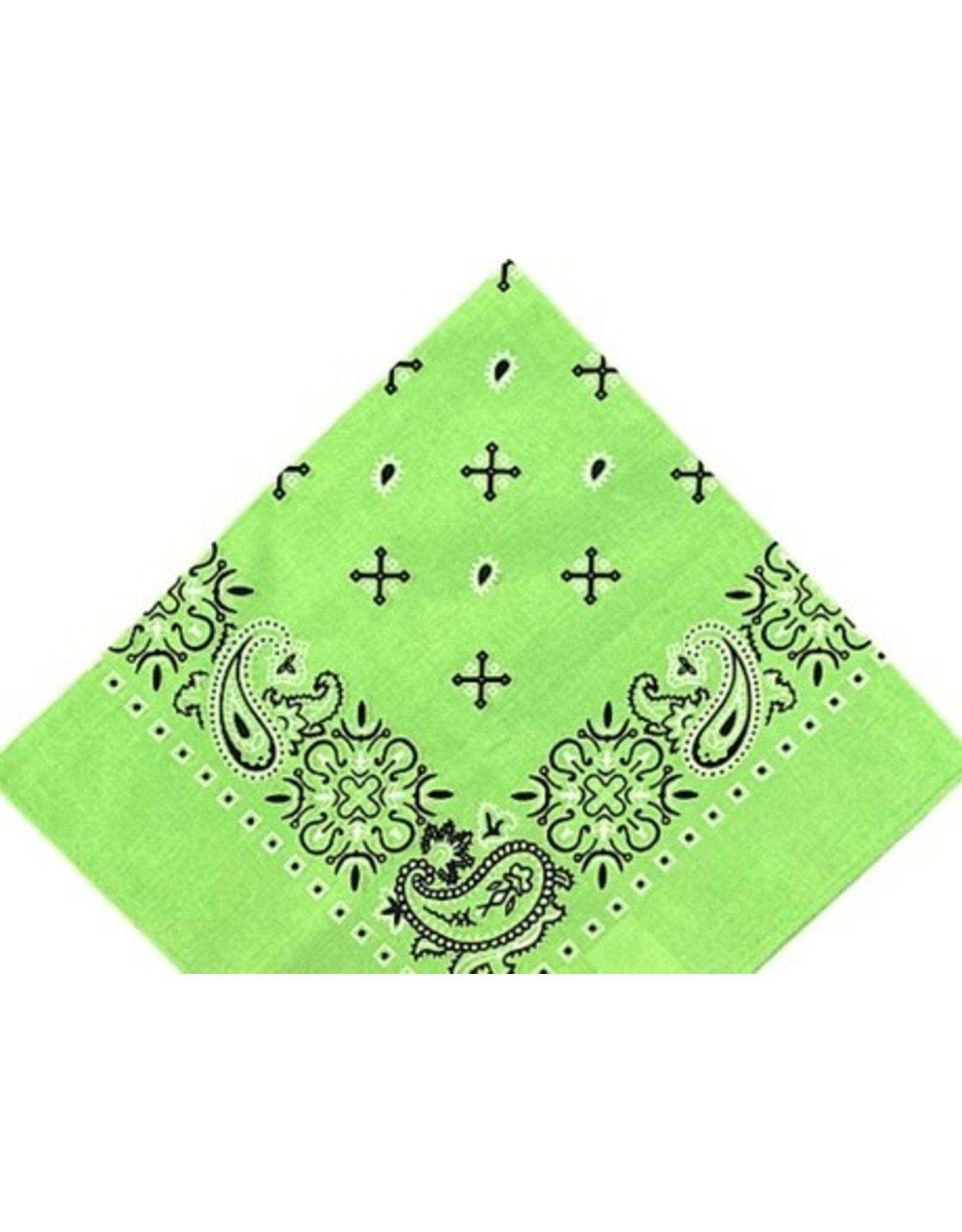 Embroidered Cactus Bandana