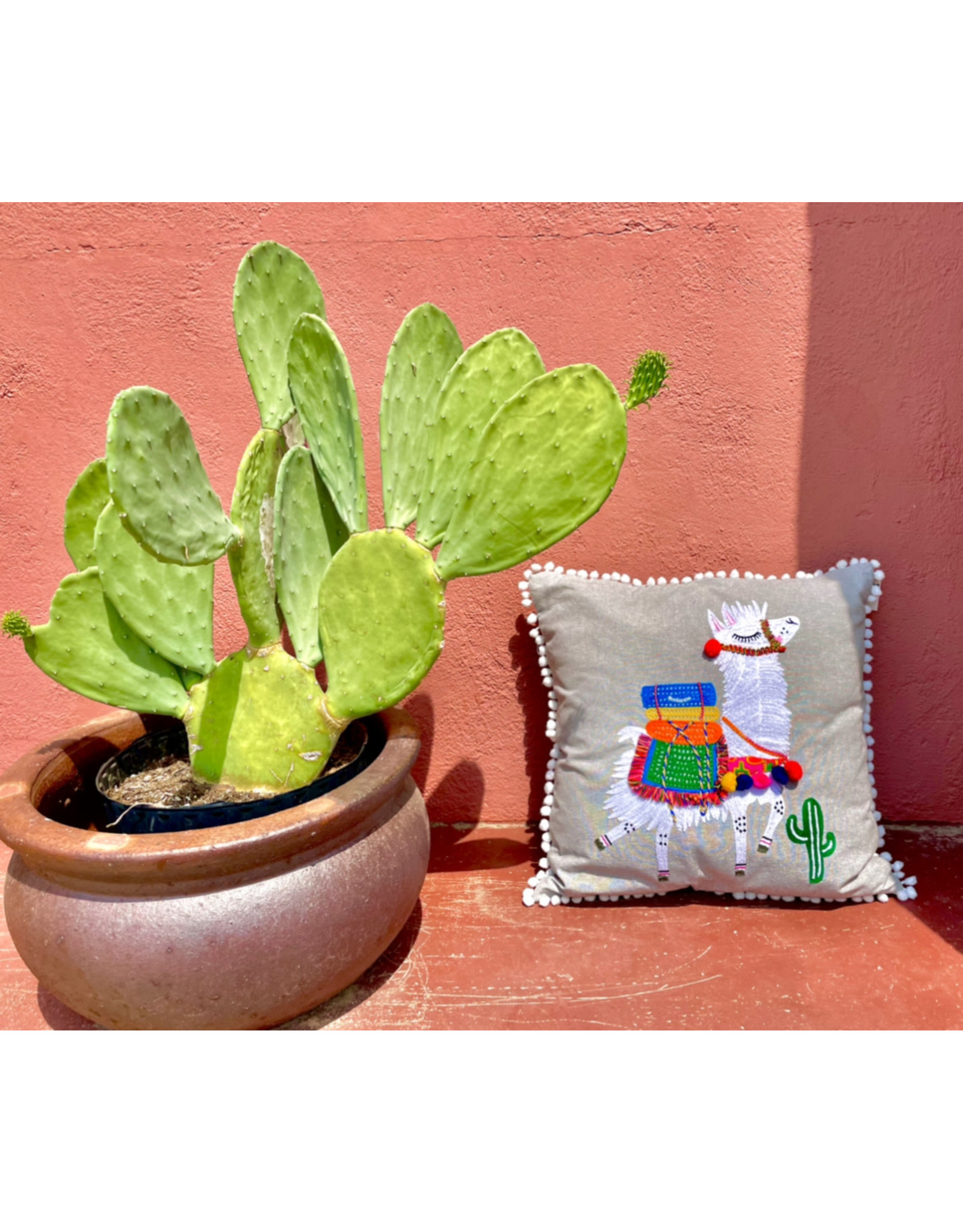 Embroidered Llama Pillow with Poms 18X18