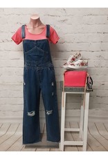 Old School Overalls