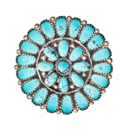 Turquoise Cluster Dinner Plates